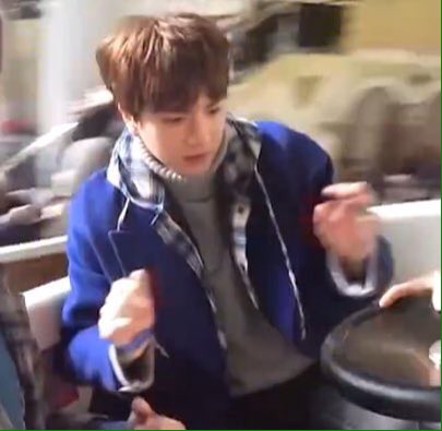 울 말티쥬 보고싶어ㅠㅠㅠ | 인스티즈