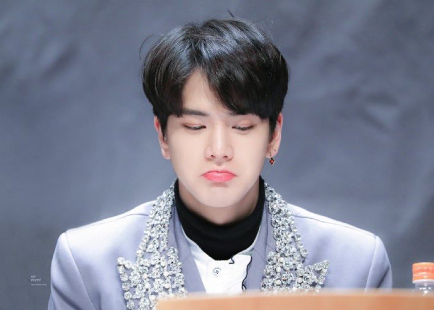 울 말티쥬 보고싶어ㅠㅠㅠ | 인스티즈