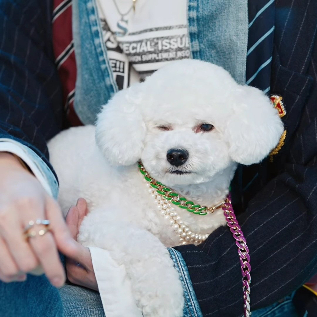 아이돌력 원탑 | 인스티즈