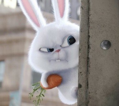 아이린 시작이랑 엔딩 이거랑 너ㅜㅁ 똑같은뎈ㅋ | 인스티즈