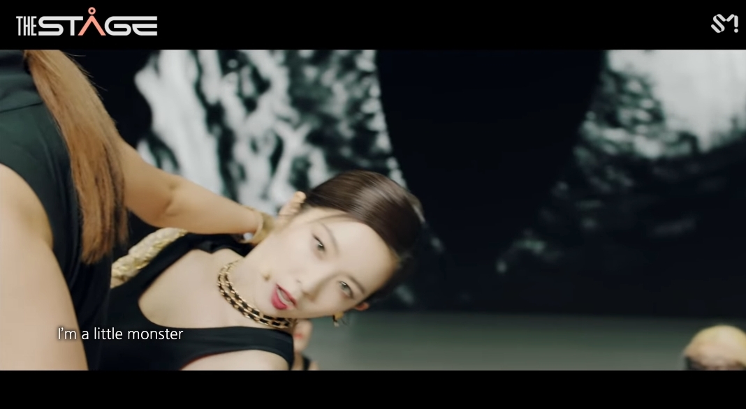 아이린 몬스터얼굴 모음(feat. 씨지 없는 얼굴) | 인스티즈