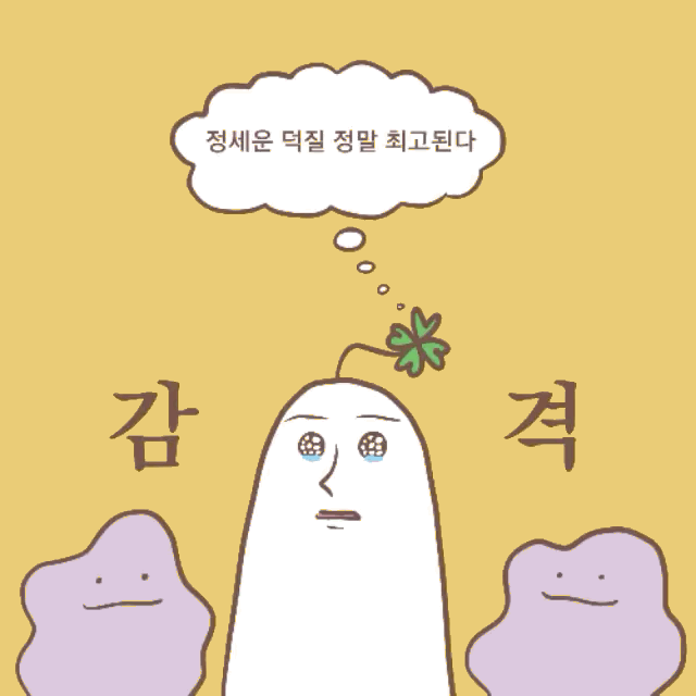 히히 내본진 정세운 | 인스티즈