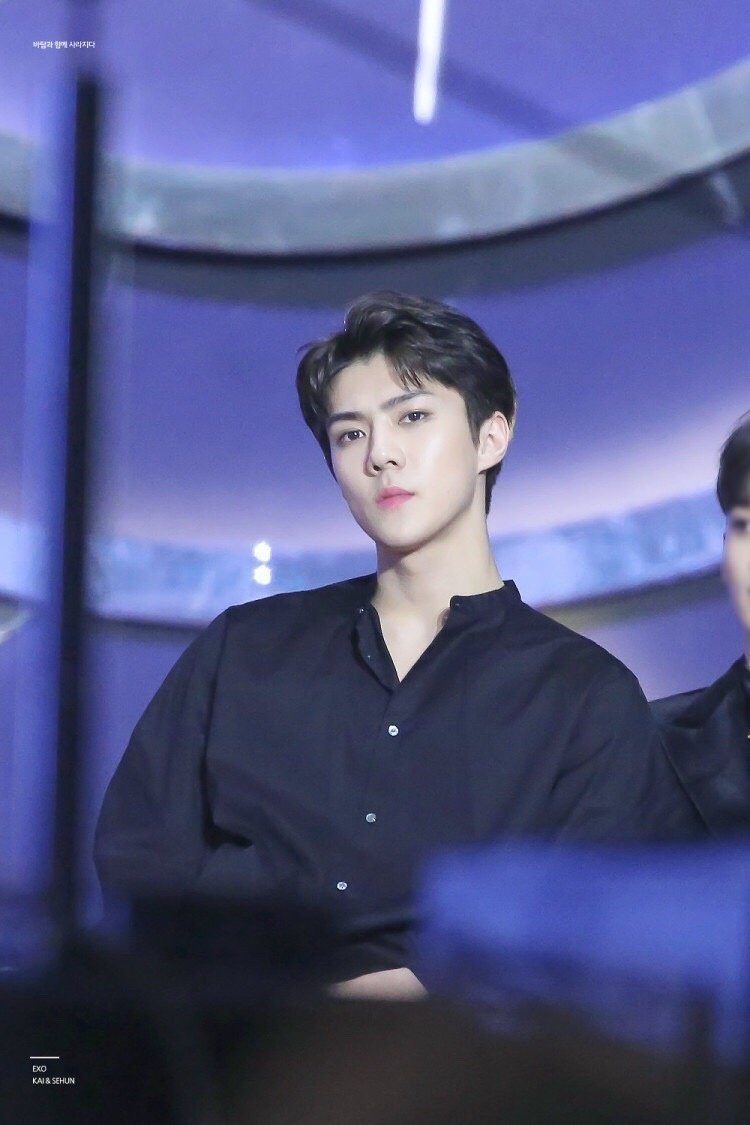 내 남돌 여돌 최애 보고가 (내 남편&내 부인) | 인스티즈