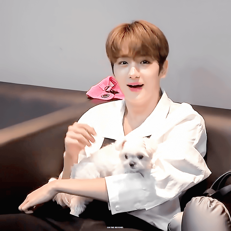 더보이즈+강아지=필승조합 | 인스티즈