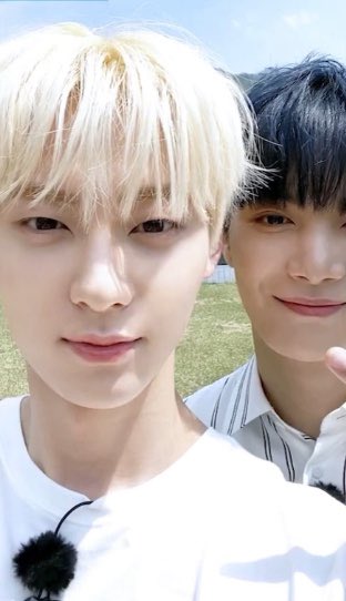 이번 뉴이스트 자컨에서 찍은 뉴종현 황민현 셀카 완전 멍냥 그 자체.. | 인스티즈