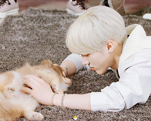 더보이즈+강아지=필승조합 | 인스티즈