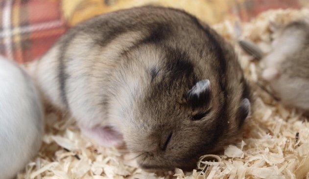 온앤오프 이션 자는 중 | 인스티즈