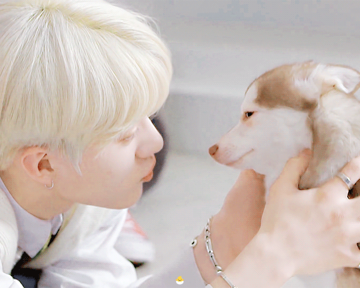 더보이즈+강아지=필승조합 | 인스티즈