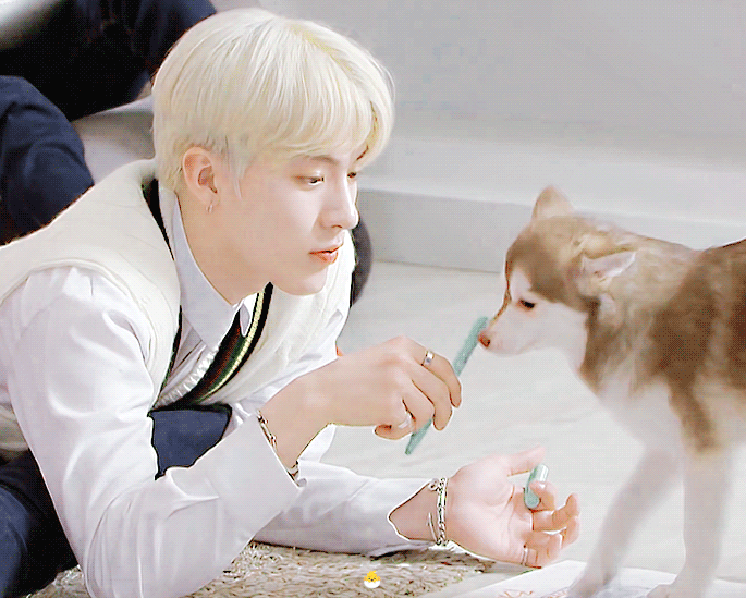 더보이즈+강아지=필승조합 | 인스티즈