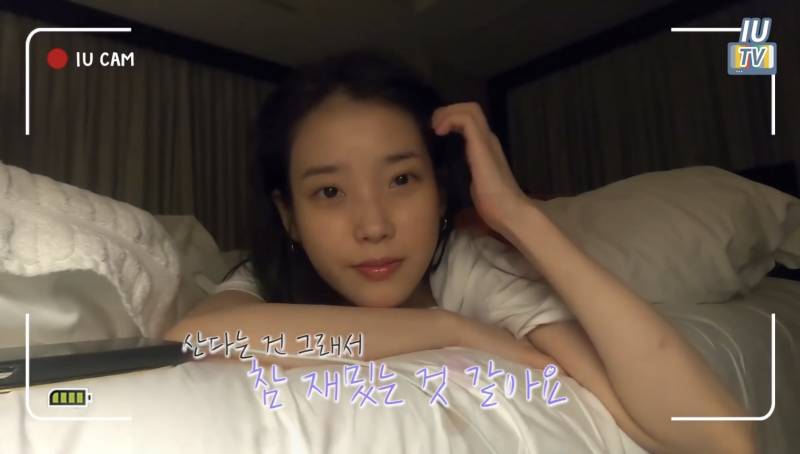 수고했다고 위로해주고 싶은 아이유의 투어콘서트 후기.jpg | 인스티즈