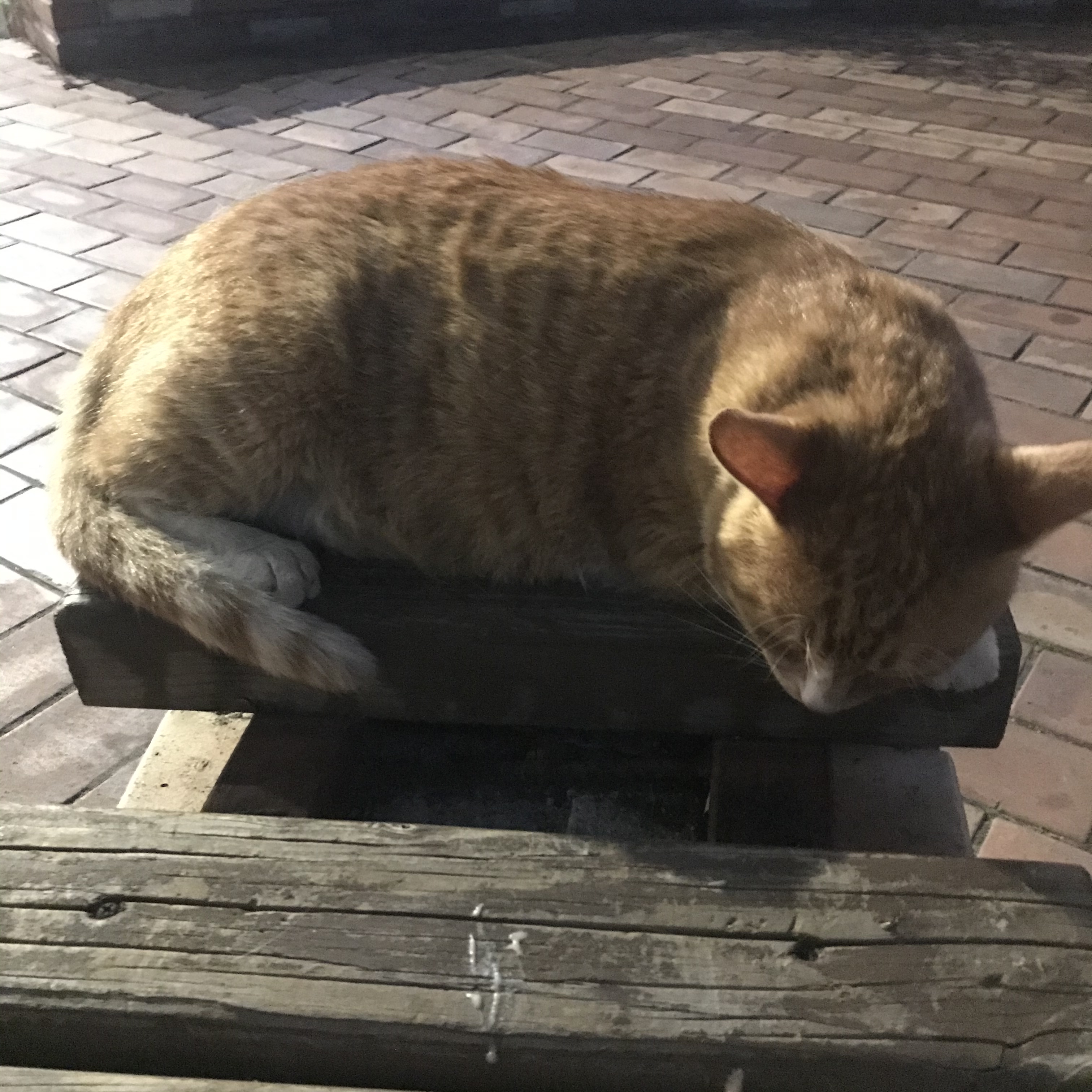아헐 맞다 내일 빅톤이들 온콘 빡세게 꾸미고 봐야하지 | 인스티즈