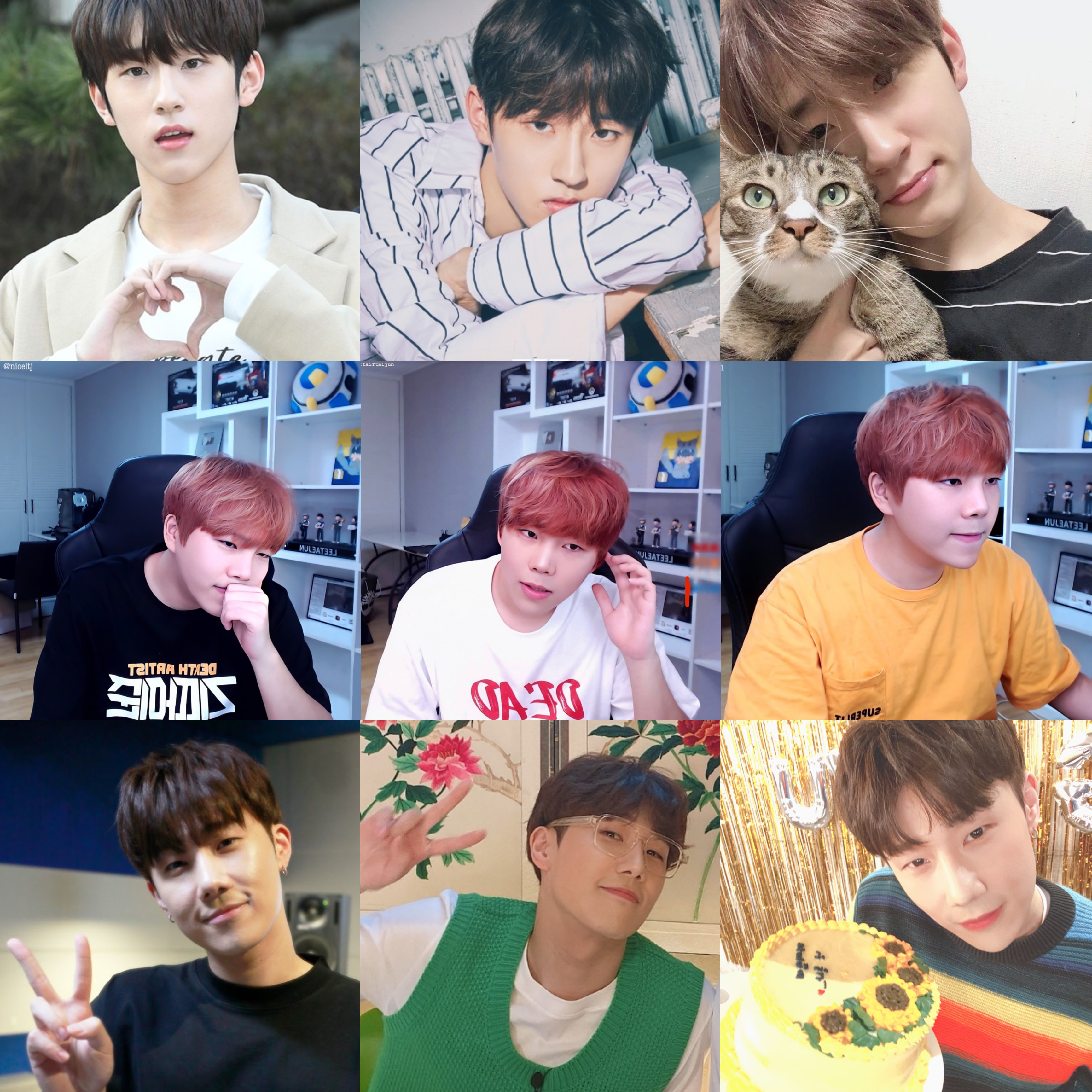 나 취향 소나무인가 ?-? | 인스티즈