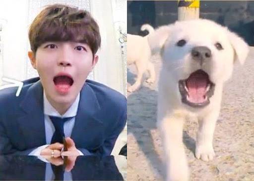 구글에서 몬모🐶 검색하니까 김재환 프로필이 제일 상단에 뜸 ㅋㅋㅋㅋ | 인스티즈