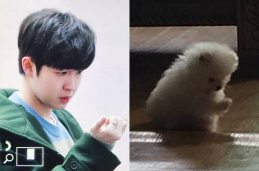 구글에서 몬모🐶 검색하니까 김재환 프로필이 제일 상단에 뜸 ㅋㅋㅋㅋ | 인스티즈