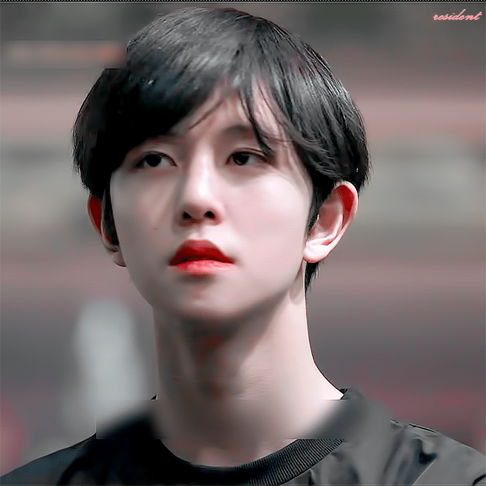 이 아이는 정말 무슨 일이 있어도 데뷔 시켜야겠다 (주어 아이랜드) | 인스티즈