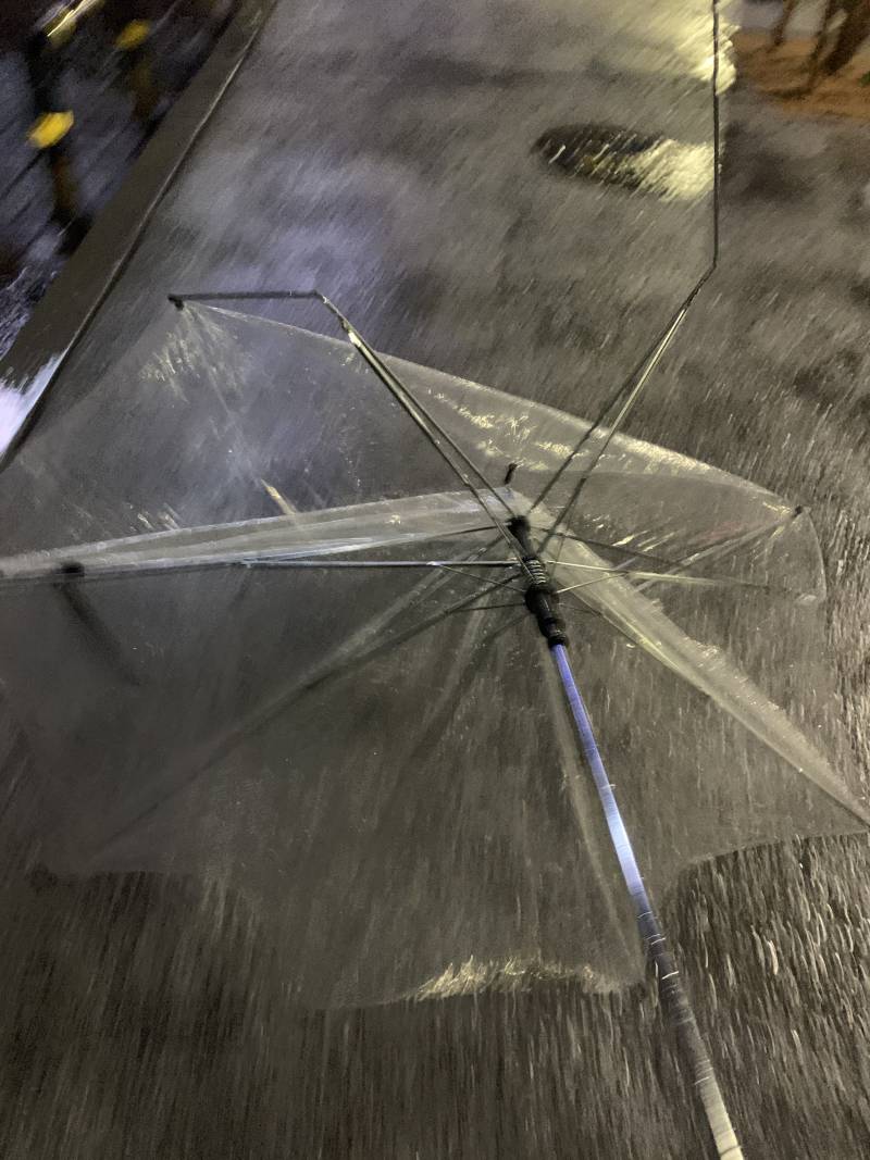 비바람이 망가뜨린 내 우산........ | 인스티즈