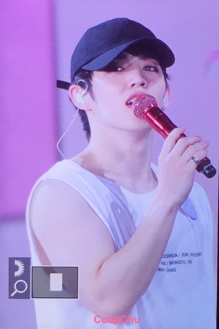 나랑 세븐틴 에스쿱스 팔뚝 볼 사람 | 인스티즈