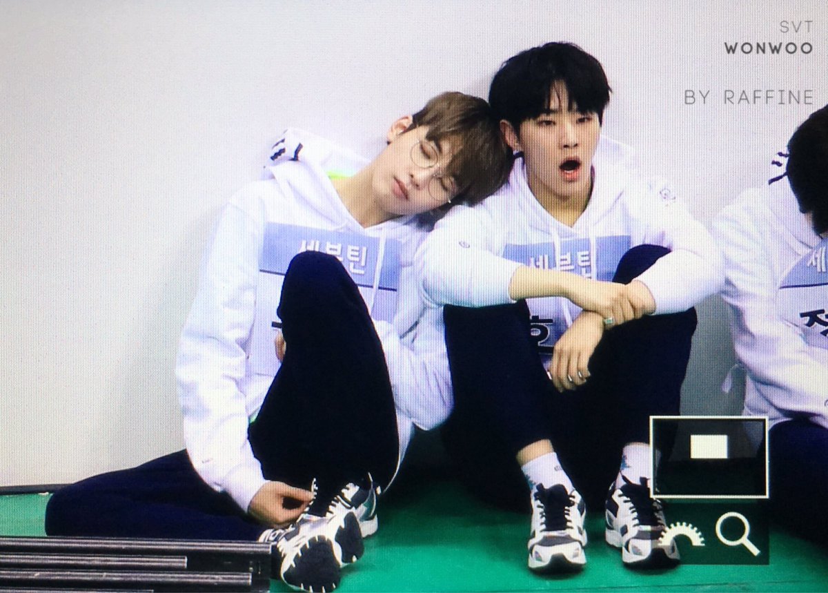 난 세븐틴 애들 관계성 일화 중에 야채과자 이길 만한 건 없다고 생각함 | 인스티즈