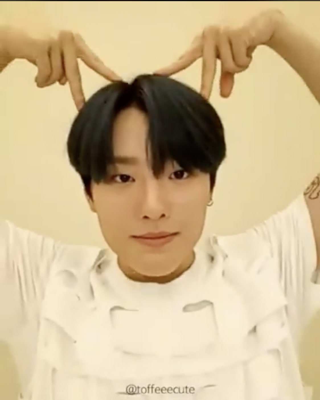 조승연이 고양이 흉내내는 방법 | 인스티즈