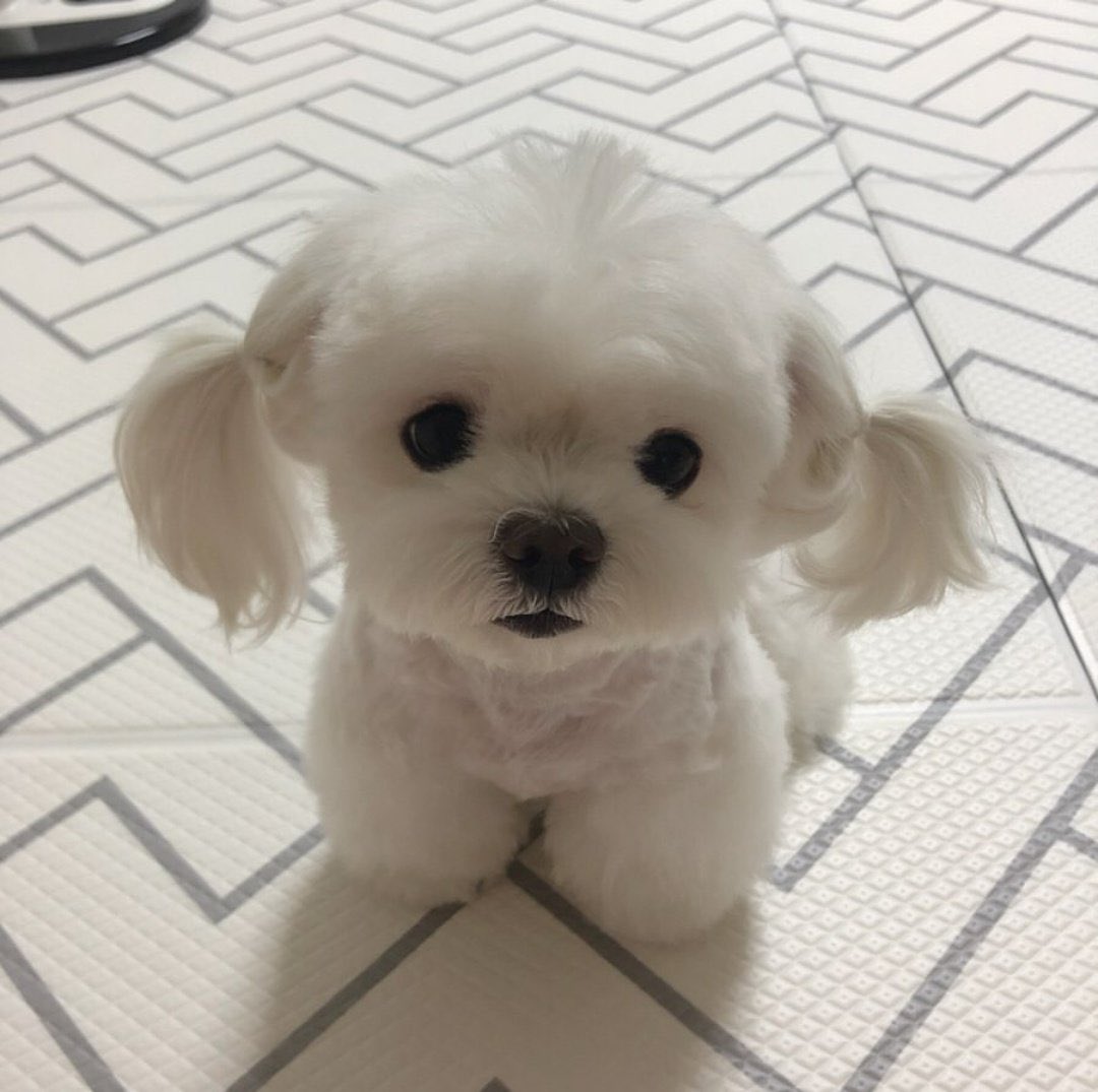 정국이 사랑해 | 인스티즈