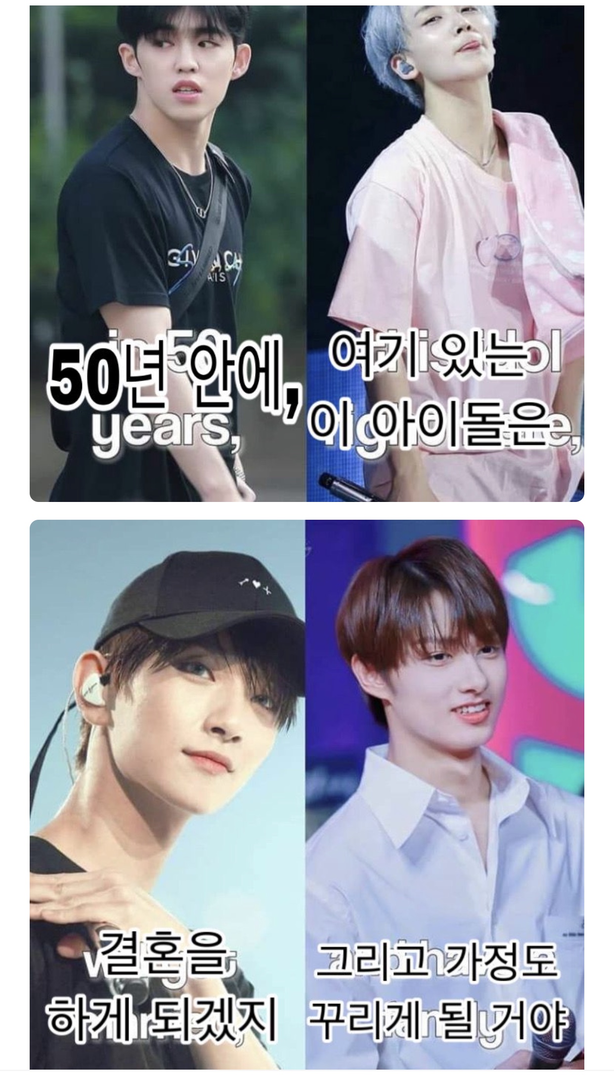 지금 호시랑 봉들이 우는 이유 😭 | 인스티즈