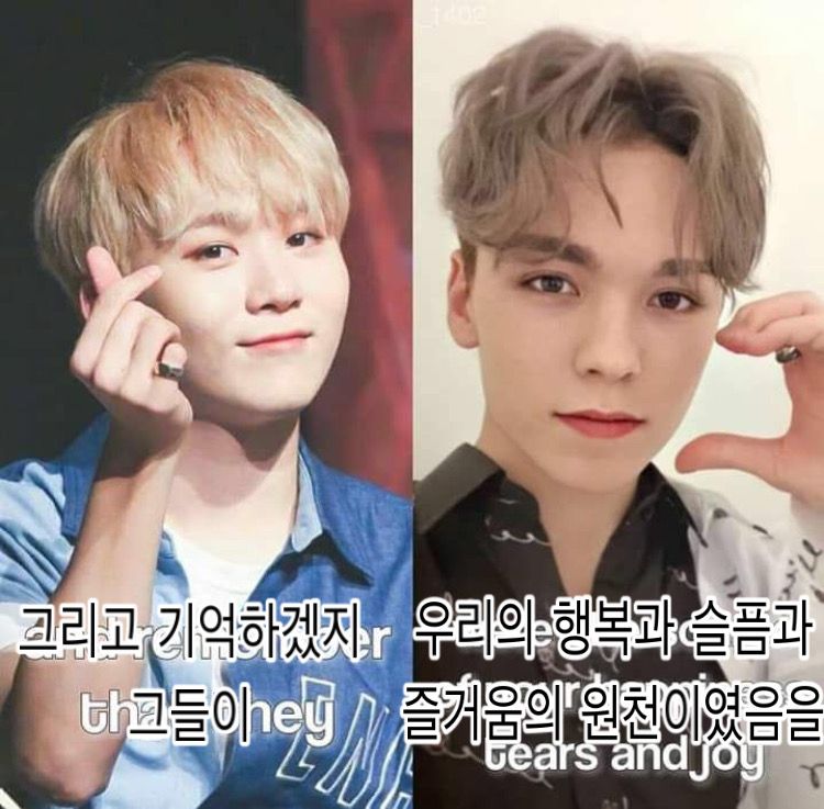 지금 세븐틴 위버스 상황..+호시 지금 진짜 울고있대 | 인스티즈