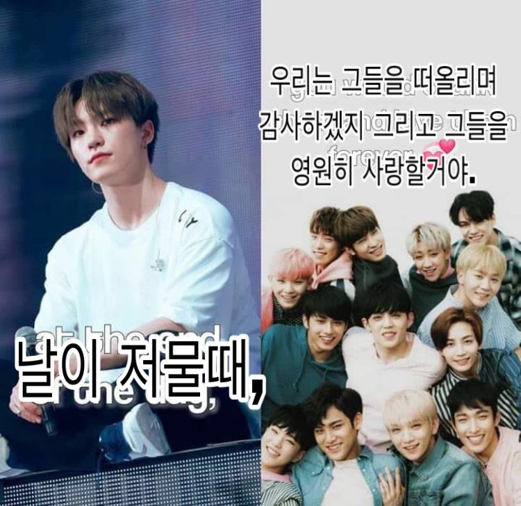 지금 세븐틴 위버스 상황..+호시 지금 진짜 울고있대 | 인스티즈