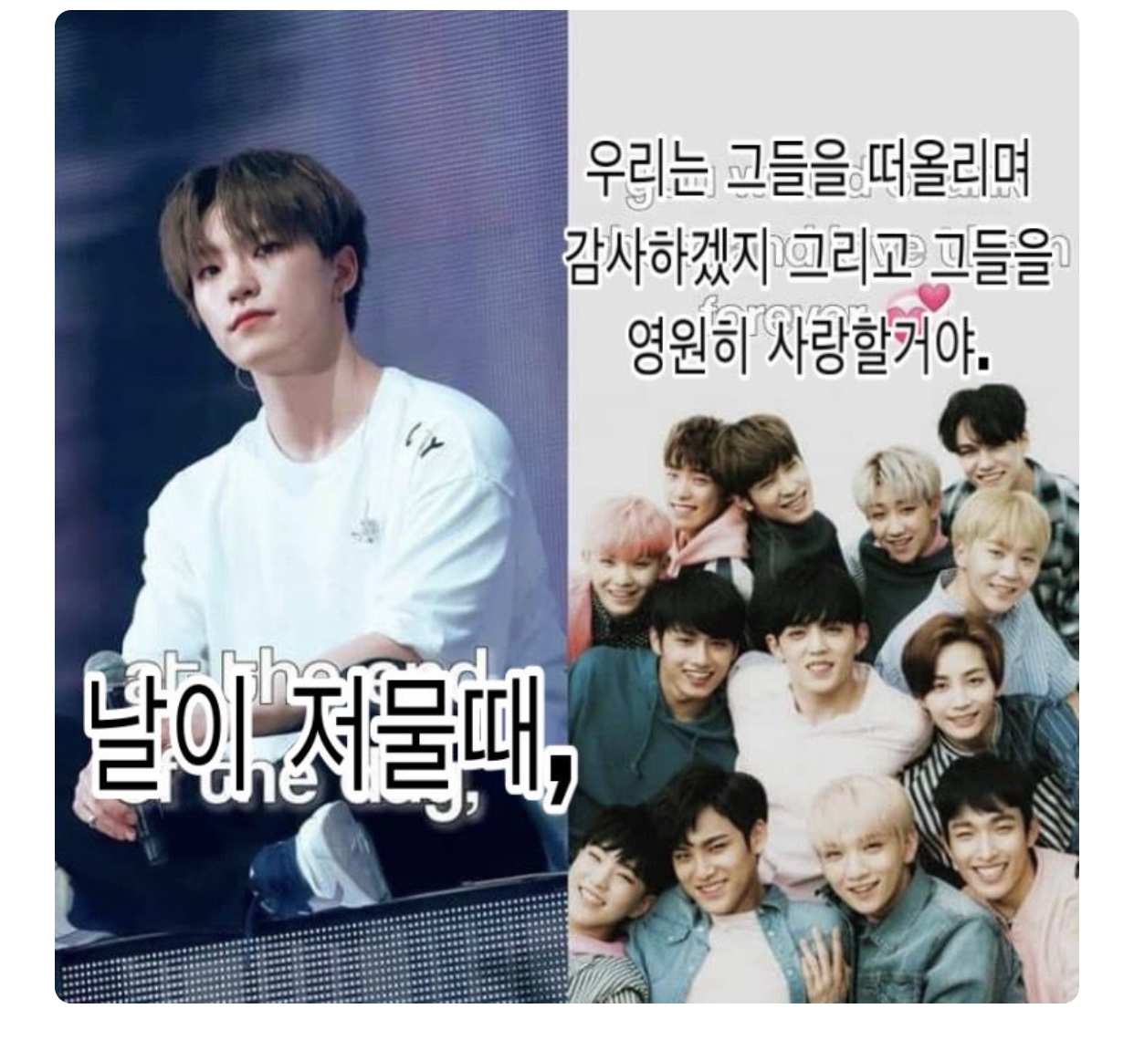 지금 호시랑 봉들이 우는 이유 😭 | 인스티즈