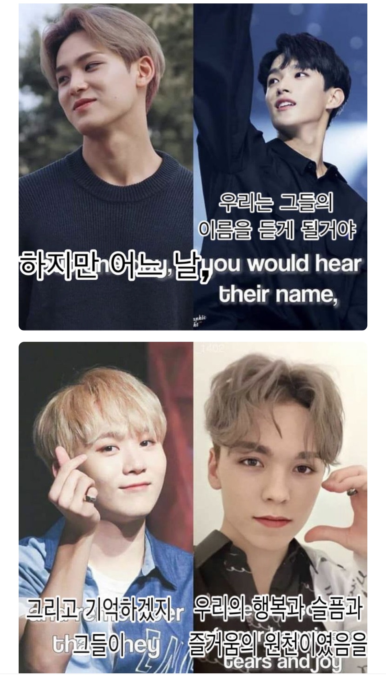 지금 호시랑 봉들이 우는 이유 😭 | 인스티즈