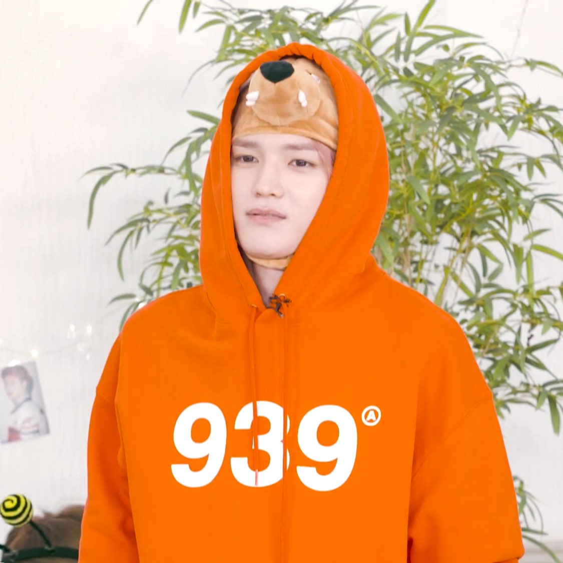 태용이 웃기고 귀엽고 작고 뽀짝한 짤 푼다(스압주의) | 인스티즈