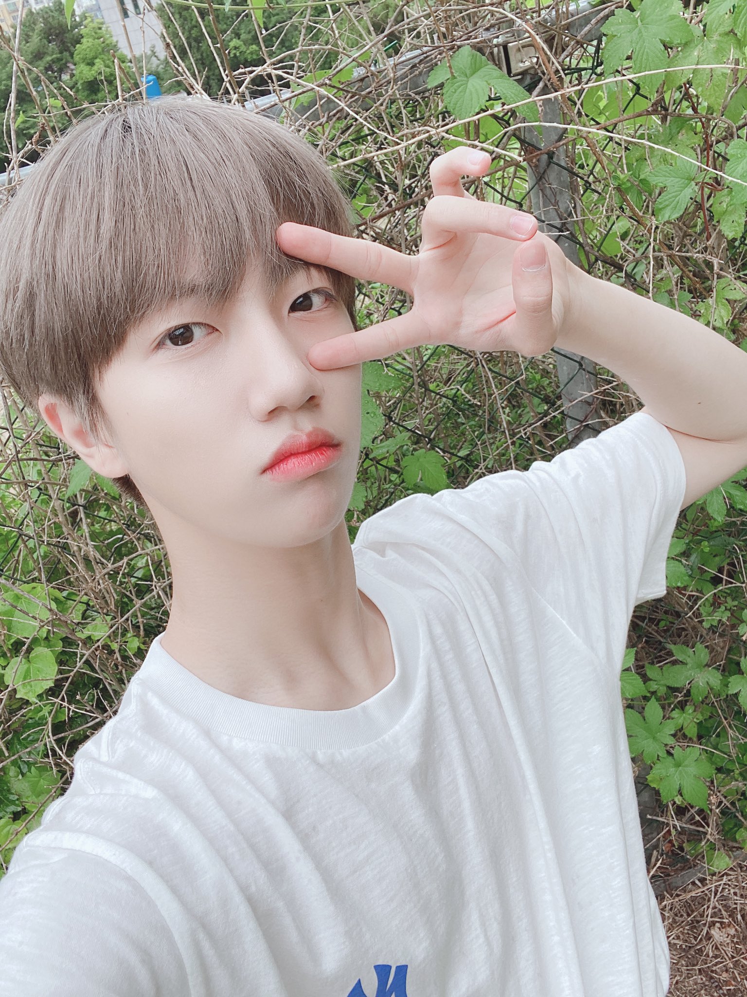 톤잘알드라 원진이는 무슨 톤일까... | 인스티즈