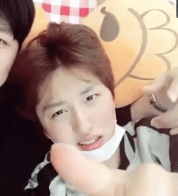 그냥 생긴것부터 포포잖아요,,, 강포포,,, | 인스티즈