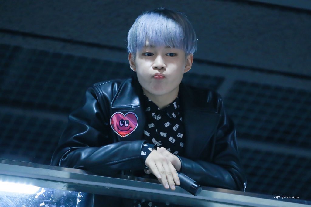 부리 한번만 톡 쳐보고싶다 | 인스티즈