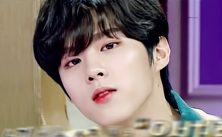 오늘 라디오스타에 고양이 나와요 | 인스티즈