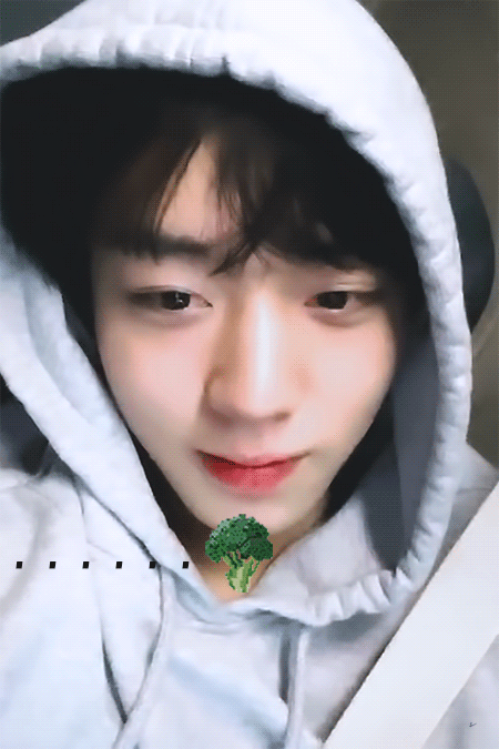 메이들 박지훈 놀리는 거 제일 좋아해 | 인스티즈