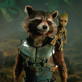 와 마플 지분 ㄹㅇ 무슨일이고 | 인스티즈