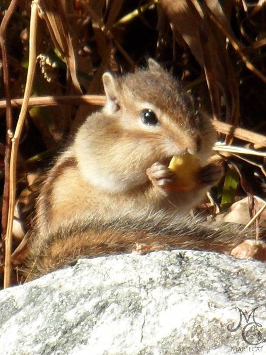 이민혁 안보이는 이유 찾았다(ㅂㅌㅂ) | 인스티즈