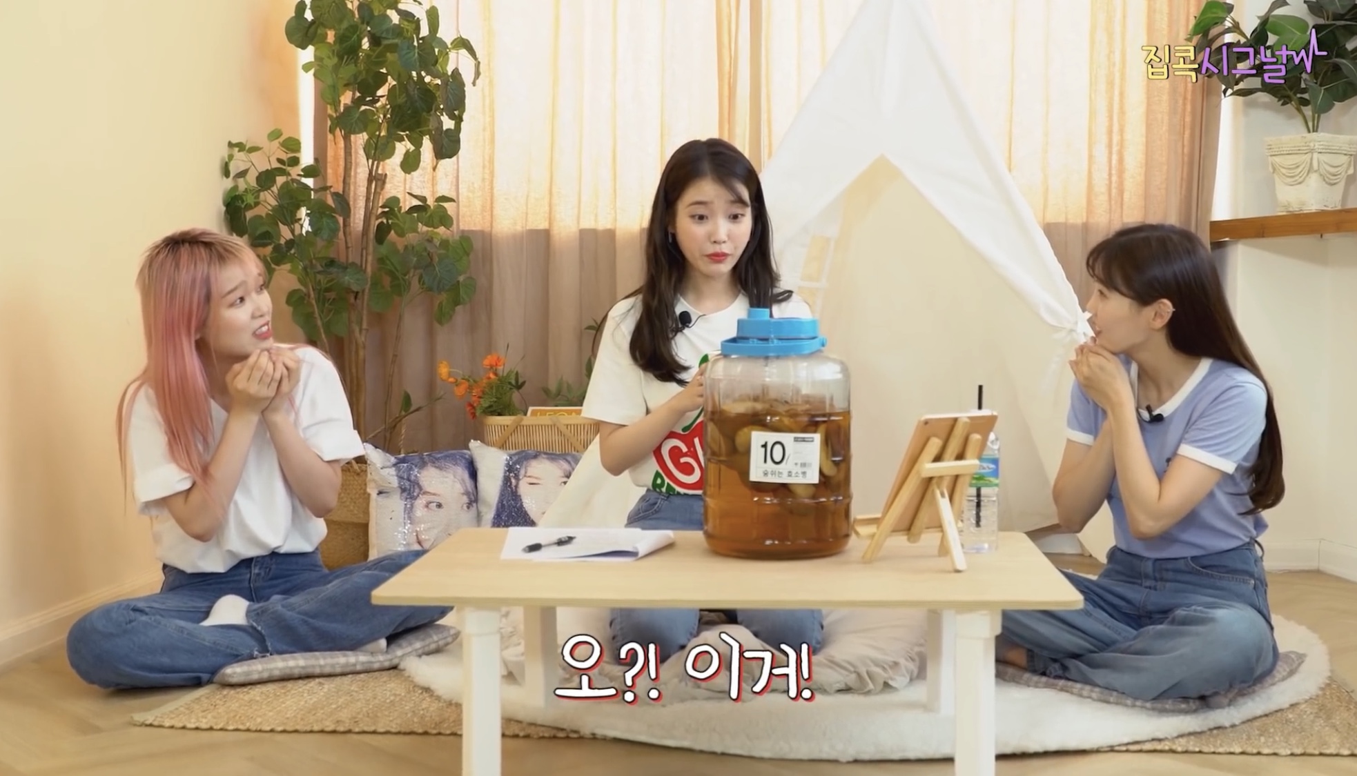 아이유랑 오마이걸 약간 어미새와 아가새들 같음ㅋㅋㅋㅋㅋㅋ | 인스티즈