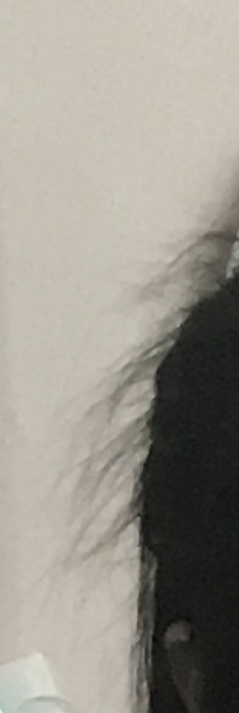 반묶음 못 하는 이유 | 인스티즈