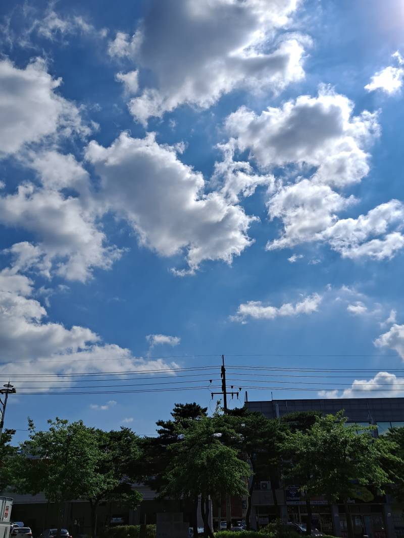 오늘 날씨가 너무 좋네....햇빛 뜨겁다... | 인스티즈