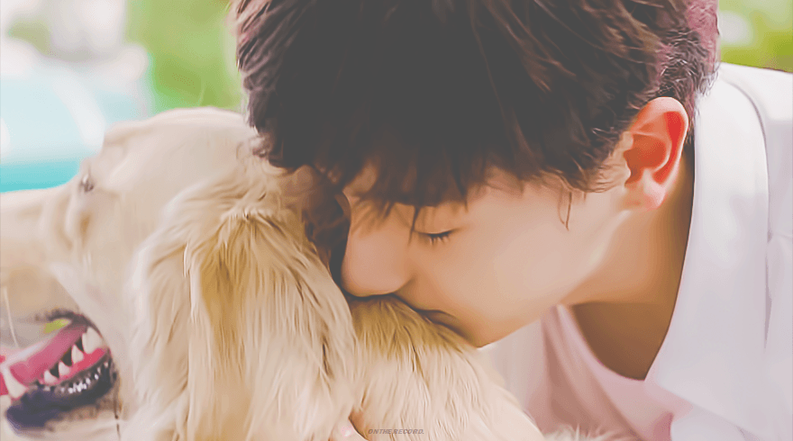 더보이즈+강아지=필승조합 | 인스티즈