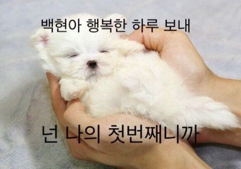 백현잉 | 인스티즈