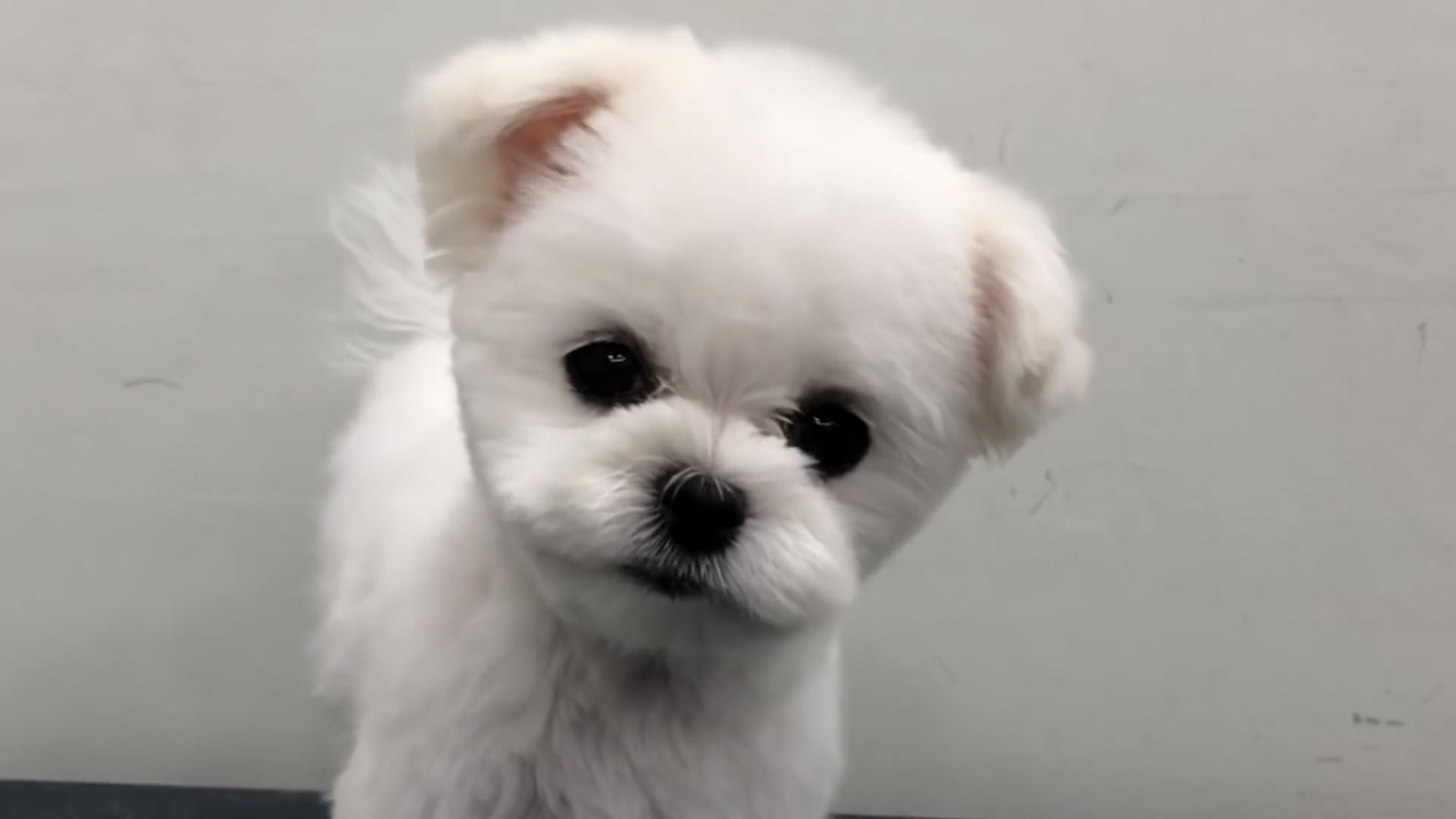 전정국 미용 전 후 | 인스티즈