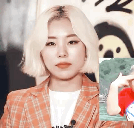 나에게만 예뻐보이는 순둡뽀짝뽀뚱휘이니 보고 힐링하고가세욥 | 인스티즈