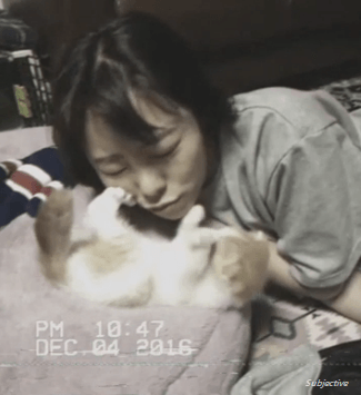 나에게만 예뻐보이는 순둡뽀짝뽀뚱휘이니 보고 힐링하고가세욥 | 인스티즈