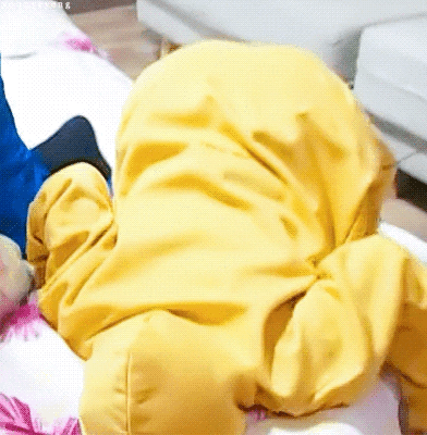 나에게만 예뻐보이는 순둡뽀짝뽀뚱휘이니 보고 힐링하고가세욥 | 인스티즈