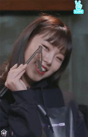 나에게만 예뻐보이는 순둡뽀짝뽀뚱휘이니 보고 힐링하고가세욥 | 인스티즈