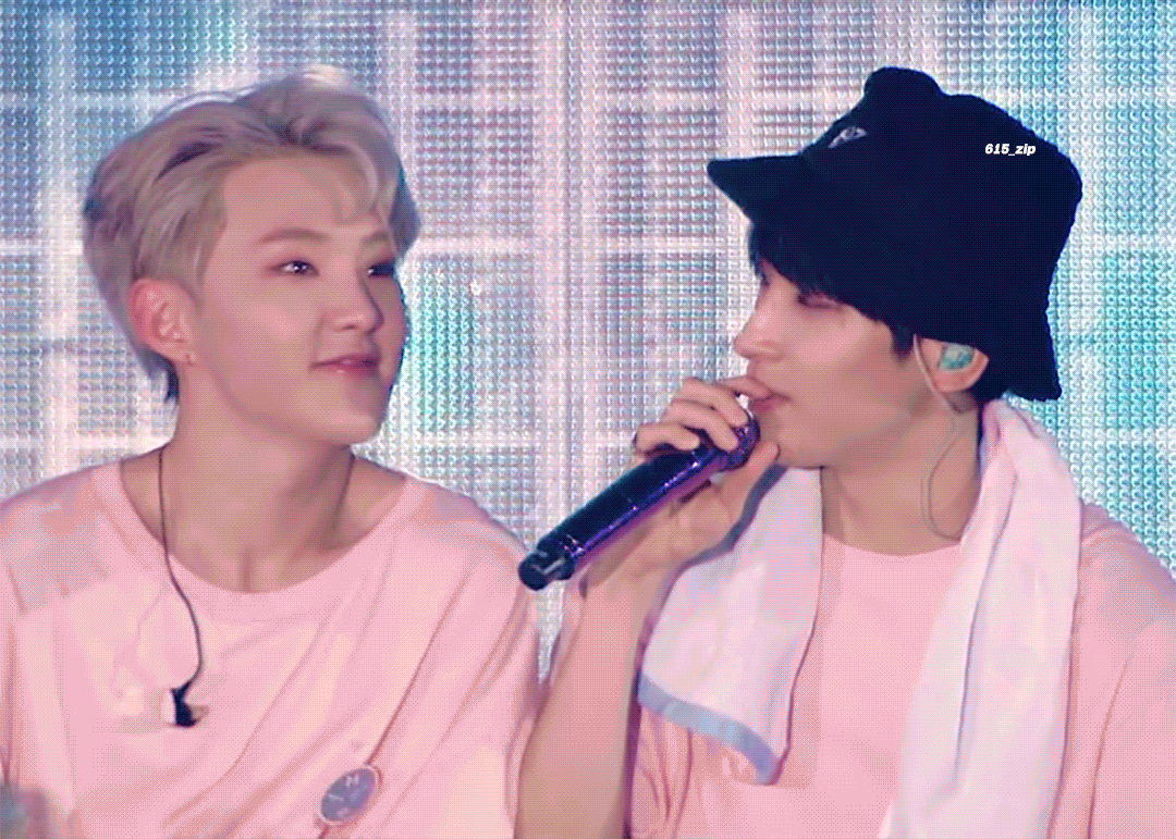 다들 호시 아이돌력 쩌는 끼부리는 애로만 알고있는데 | 인스티즈