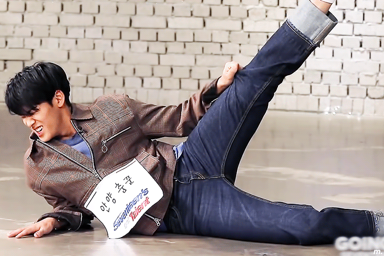 강아지치곤 사람같은 편 | 인스티즈