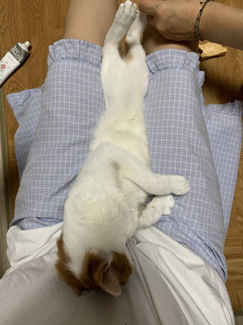 양치 싫어서 고개 돌림ㅋㅋㅋㅋㅋㅋㅋ | 인스티즈